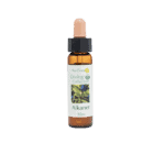 朱草花精 10ml 產品照