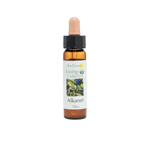 朱草花精 10ml 產品照