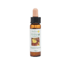 秋葉（各顏色） 10ml 產品照