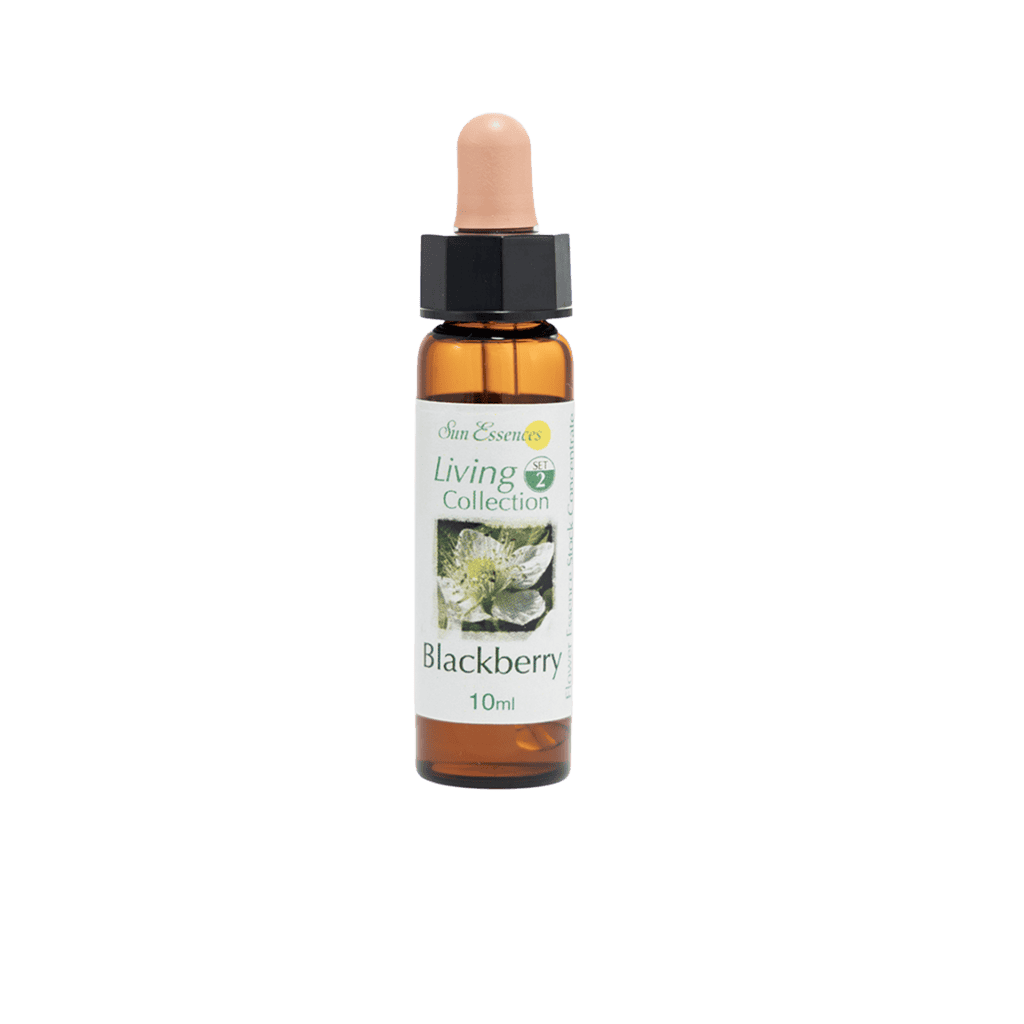 歐洲黑莓花精 10ml 產品照