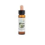 歐洲黑莓花精 10ml 產品照