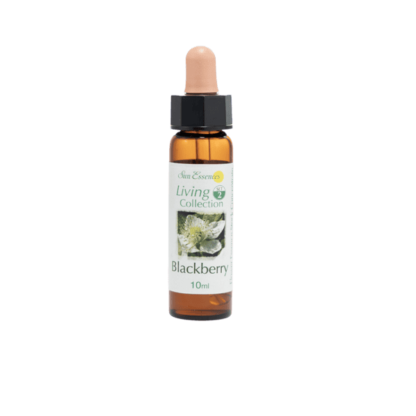 歐洲黑莓花精 10ml 產品照