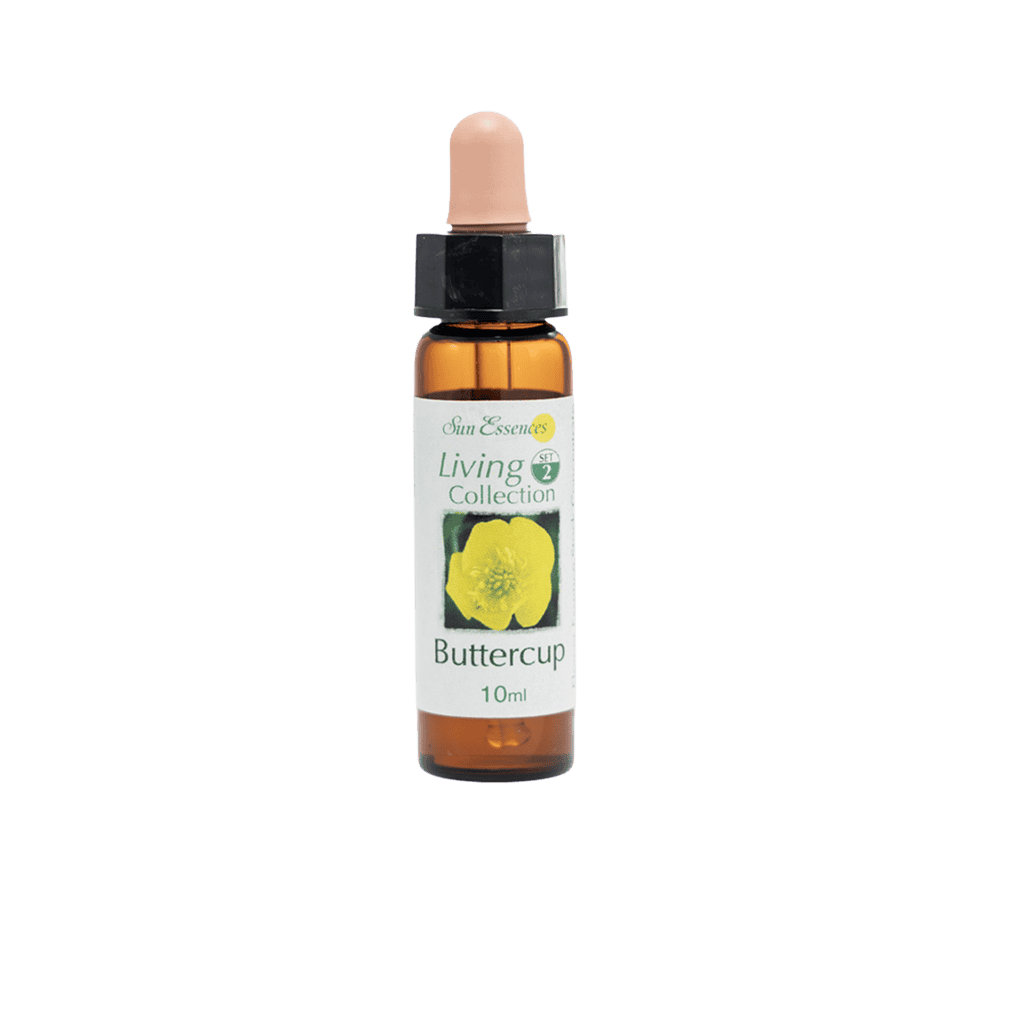 毛茛花精 10ml 產品照