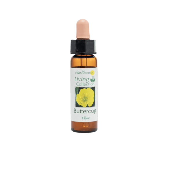 毛茛花精 10ml 產品照