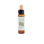 洋甘菊花精 10ml 產品照