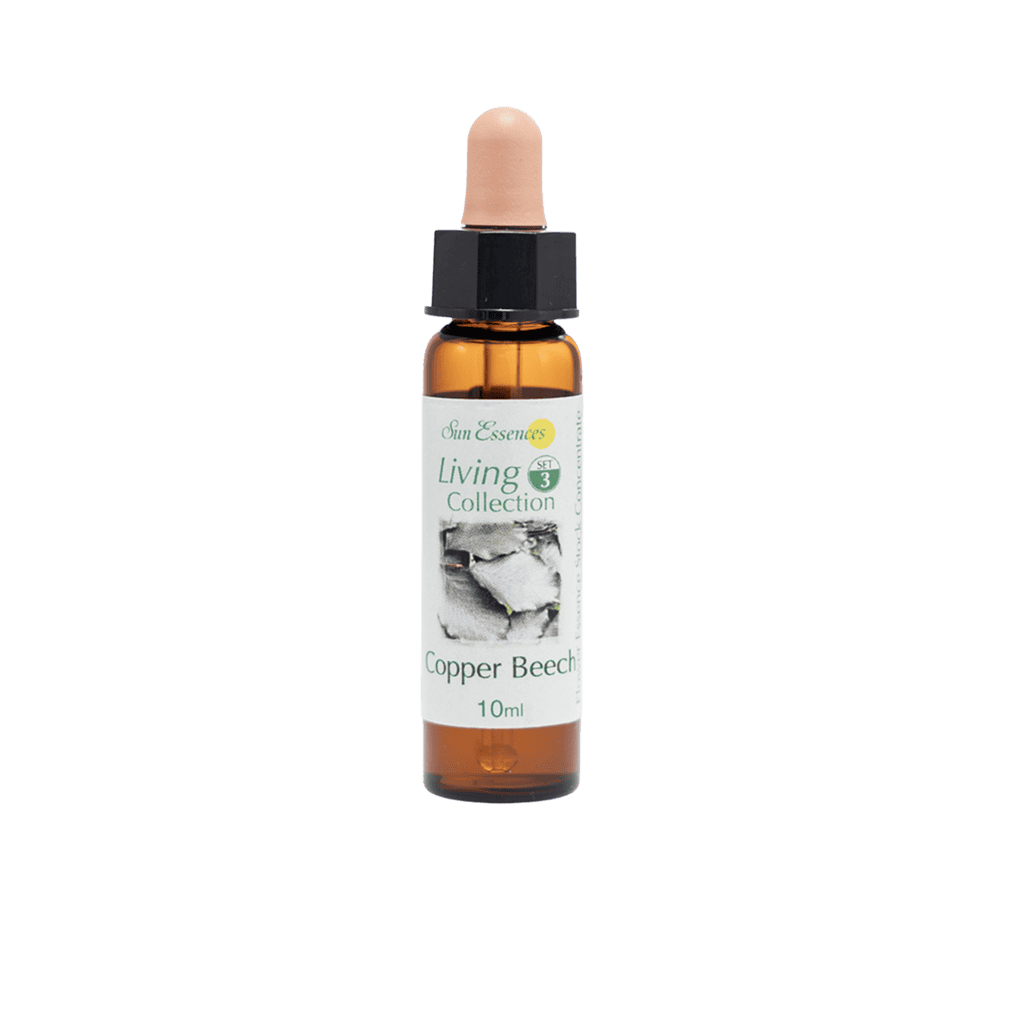 歐洲山毛櫸花精 10ml 產品照