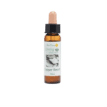 歐洲山毛櫸花精 10ml 產品照