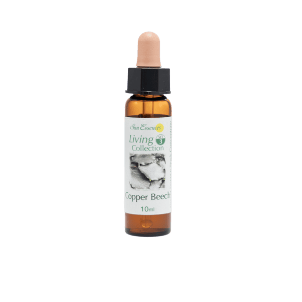 歐洲山毛櫸花精 10ml 產品照