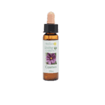 波斯菊花精 10ml 產品照
