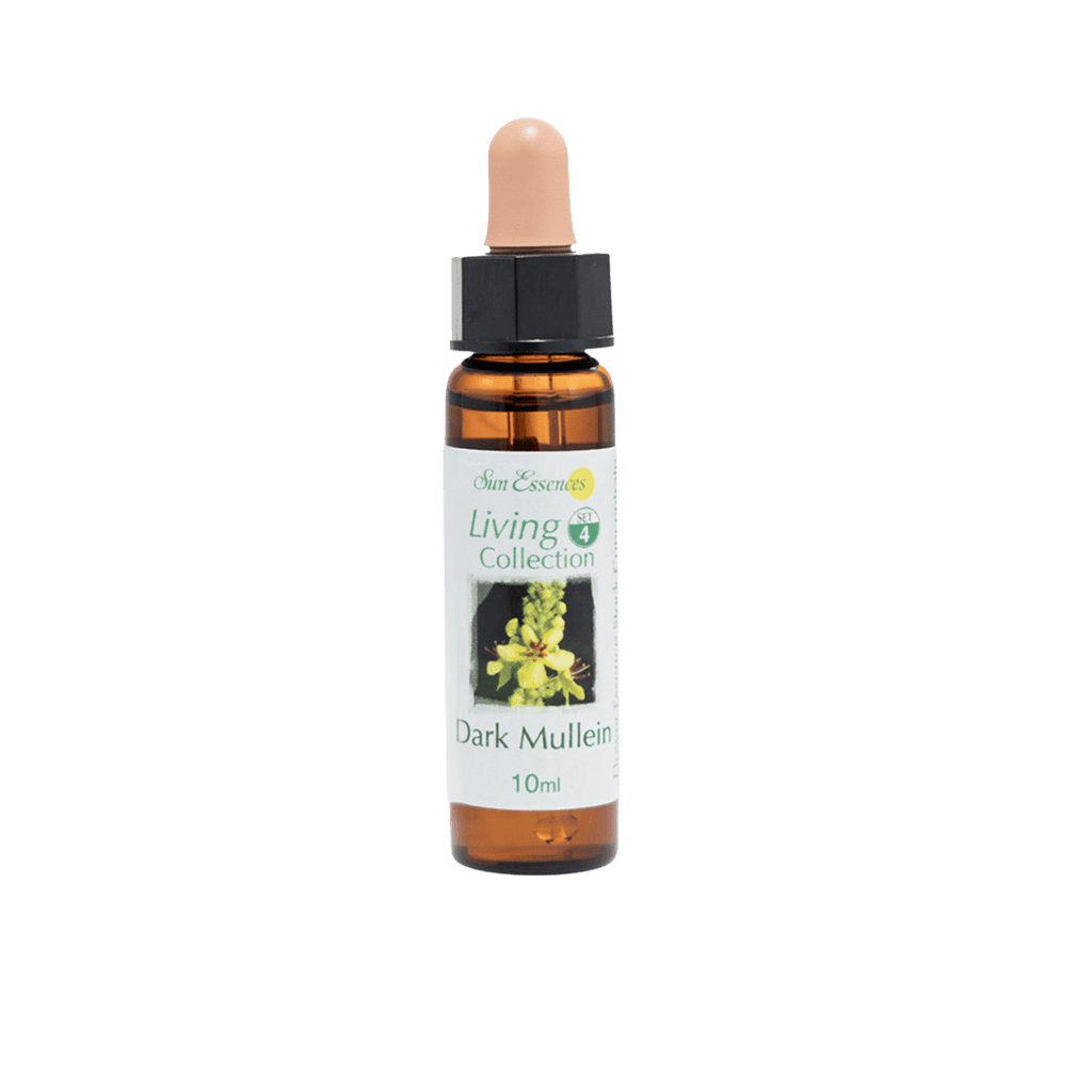 黑毛蕊花精 10ml 產品照