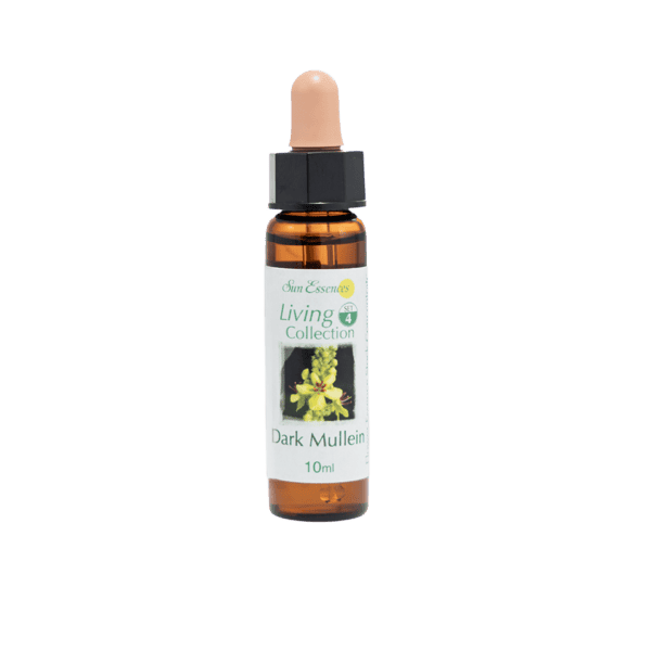 黑毛蕊花精 10ml 產品照