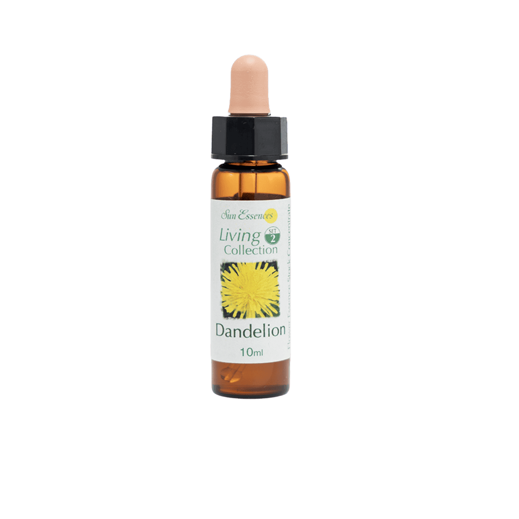 西洋蒲公英花精 10ml 產品照