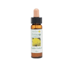 黃水仙花精 10ml 產品照