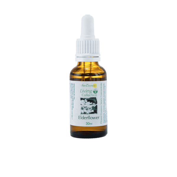 接骨木花精 10ml 產品照