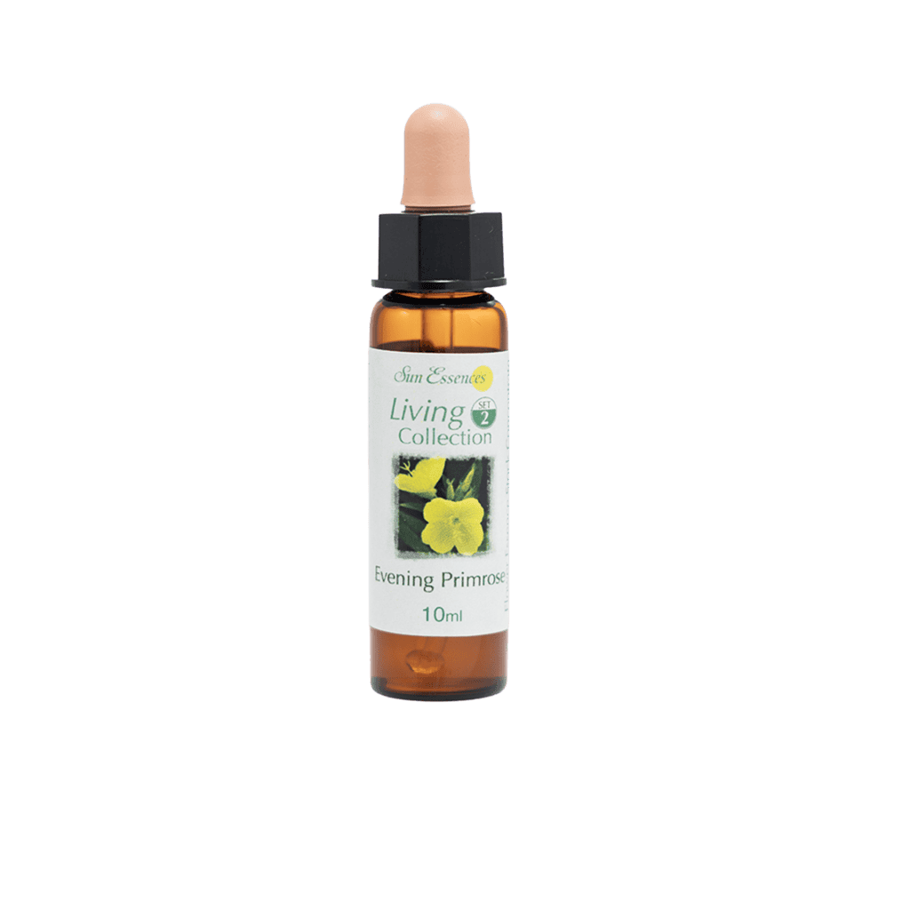 月見草花精 10ml 產品照