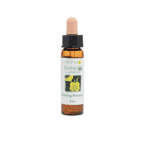 月見草花精 10ml 產品照