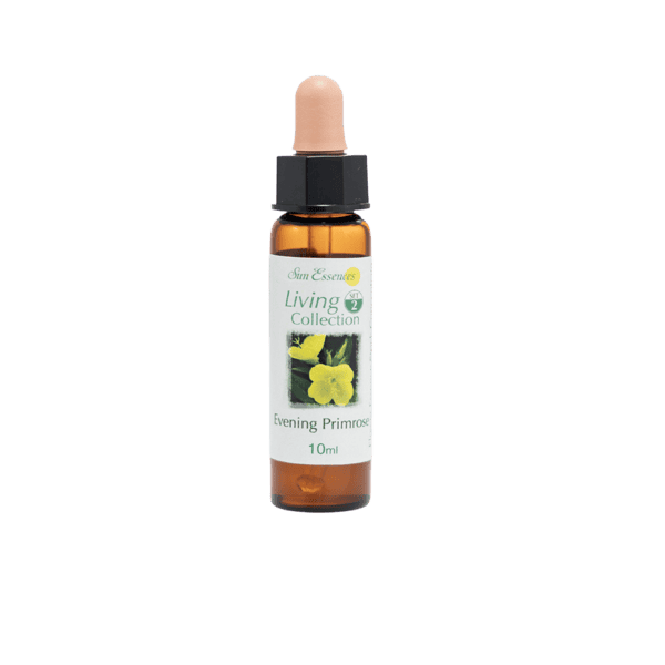月見草花精 10ml 產品照