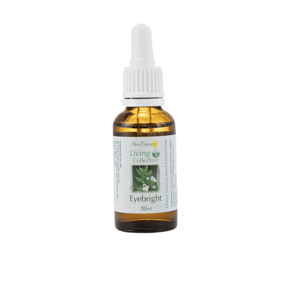 小米草花精 10ml 產品照