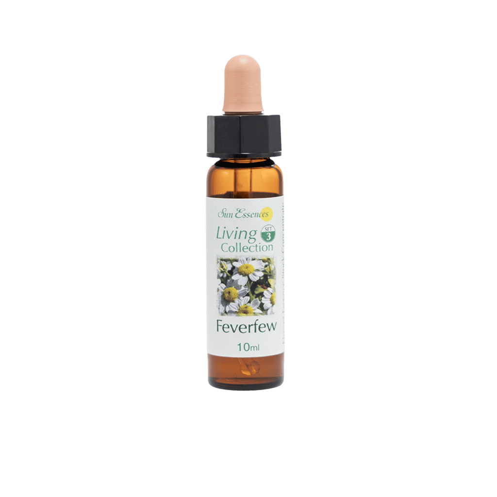小白菊花精 10ml 產品照