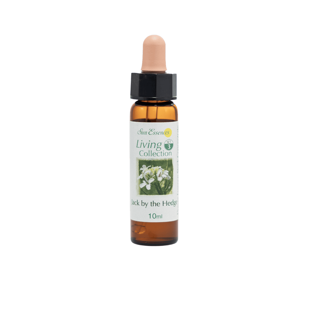 蔥芥花精 10ml 產品照
