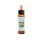 蔥芥花精 10ml 產品照