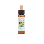 斗篷草花精 10ml 產品照