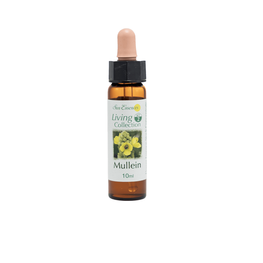 毛蕊花花精 10ml 產品照
