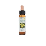 毛蕊花花精 10ml 產品照