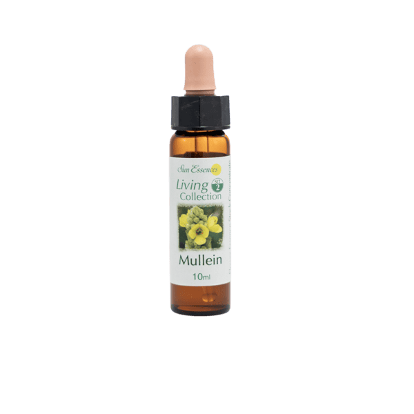 毛蕊花花精 10ml 產品照