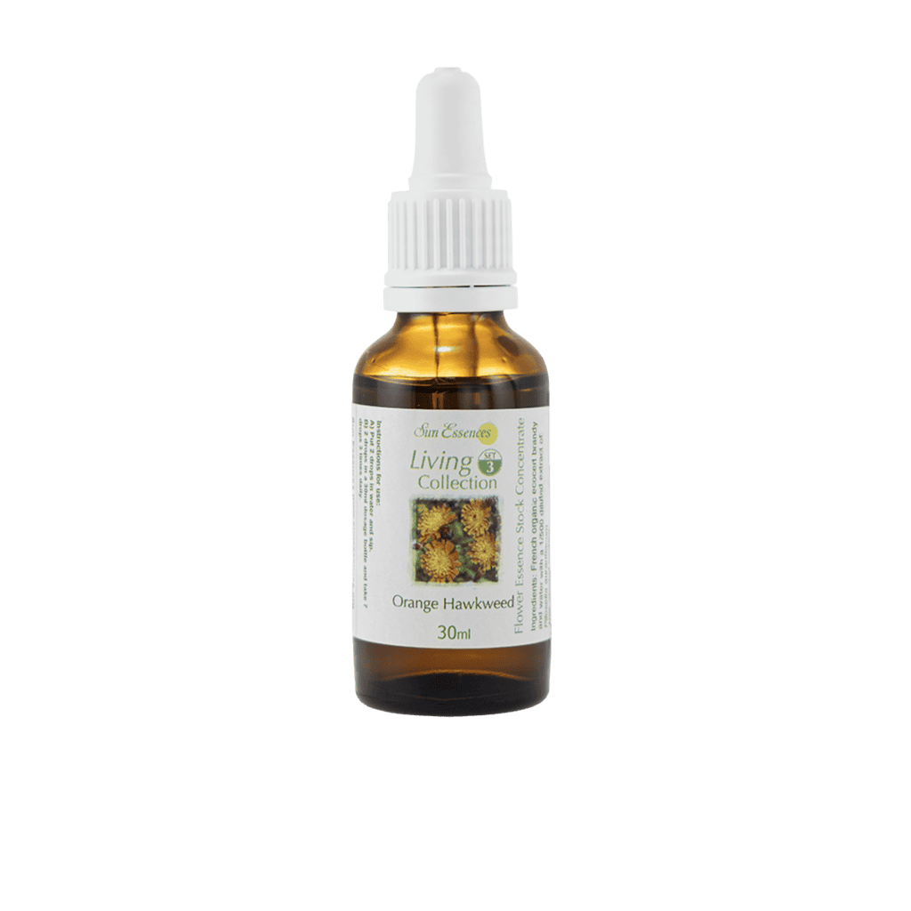 橘黃山柳菊花精 10ml 產品照