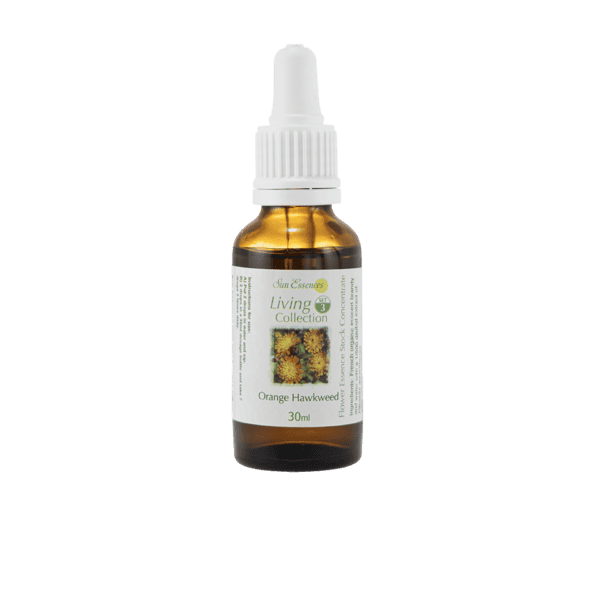 橘黃山柳菊花精 10ml 產品照