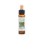 胡椒薄荷花精 10ml 產品照
