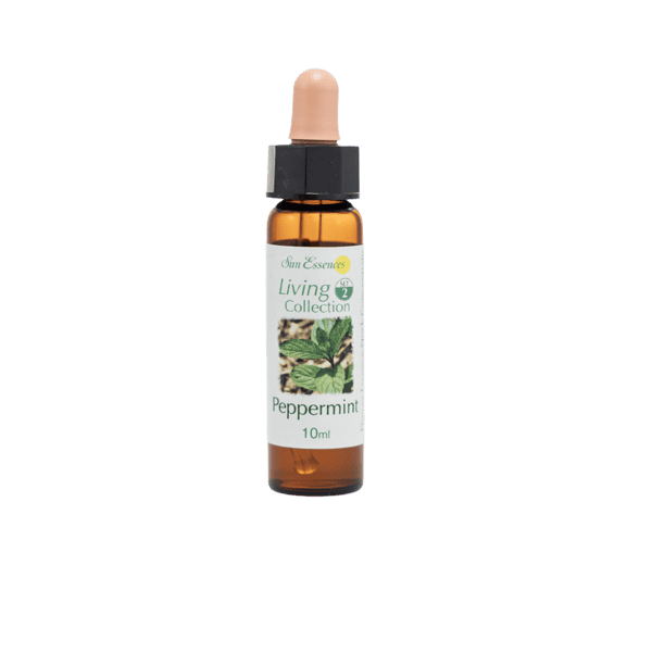 胡椒薄荷花精 10ml 產品照