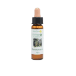 普列薄荷花精 10ml 產品照