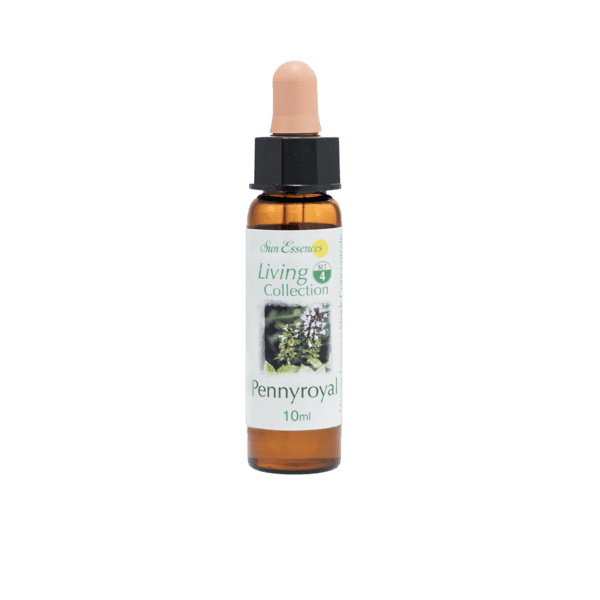普列薄荷花精 10ml 產品照