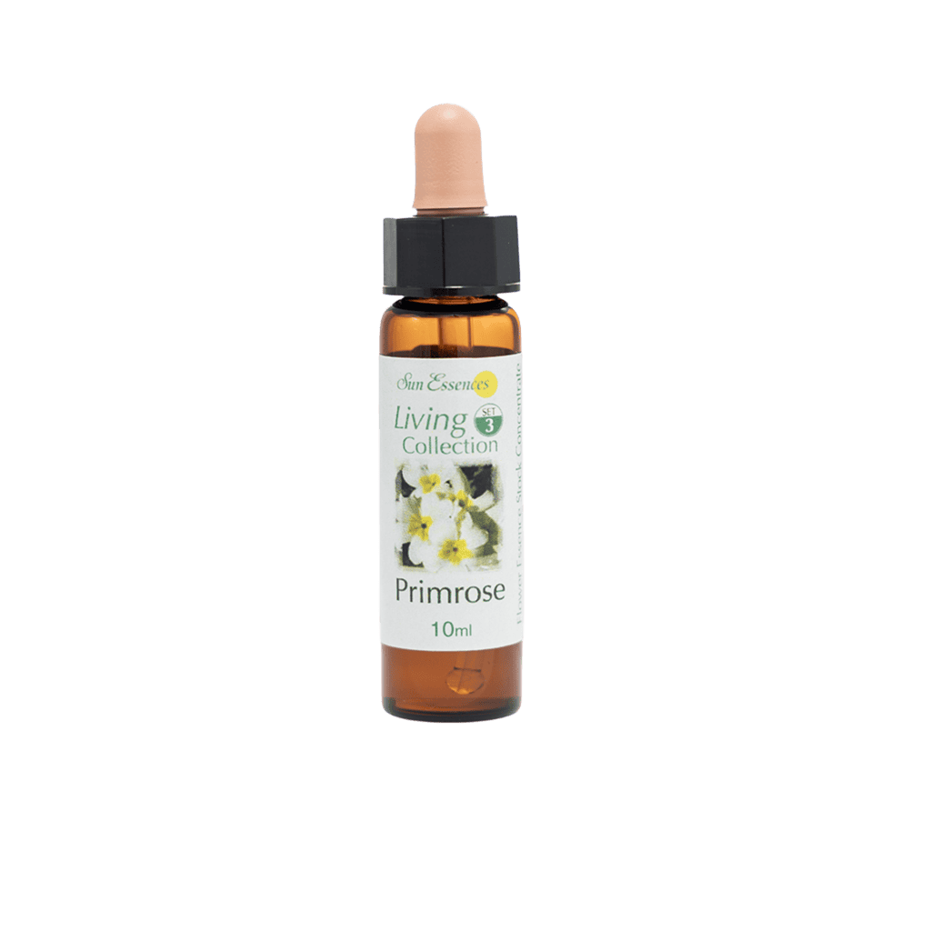 報春花花精 10ml 產品照