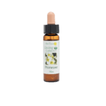 報春花花精 10ml 產品照
