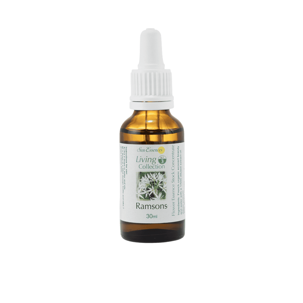 熊蔥花精 10ml 產品照