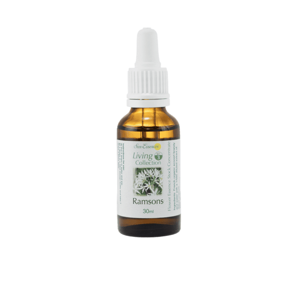 熊蔥花精 10ml 產品照