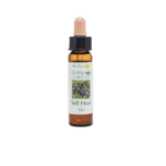 夏枯草花精 10ml 產品照