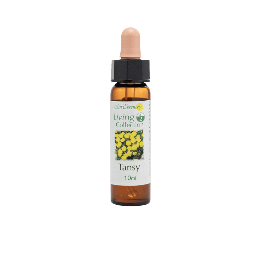 艾菊花精 10ml 產品照