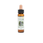 藍薊花精 10ml 產品照