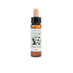 白紫羅蘭花精 10ml 產品照