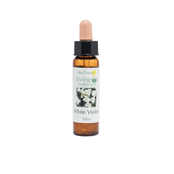 白紫羅蘭花精 10ml 產品照