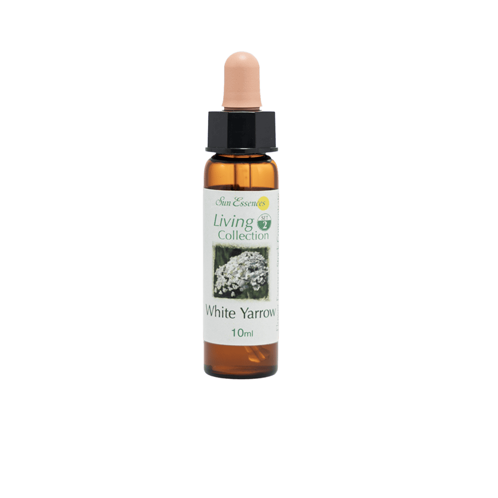 白蓍草花精 10ml 產品照