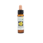 野生水仙花精 10ml 產品照
