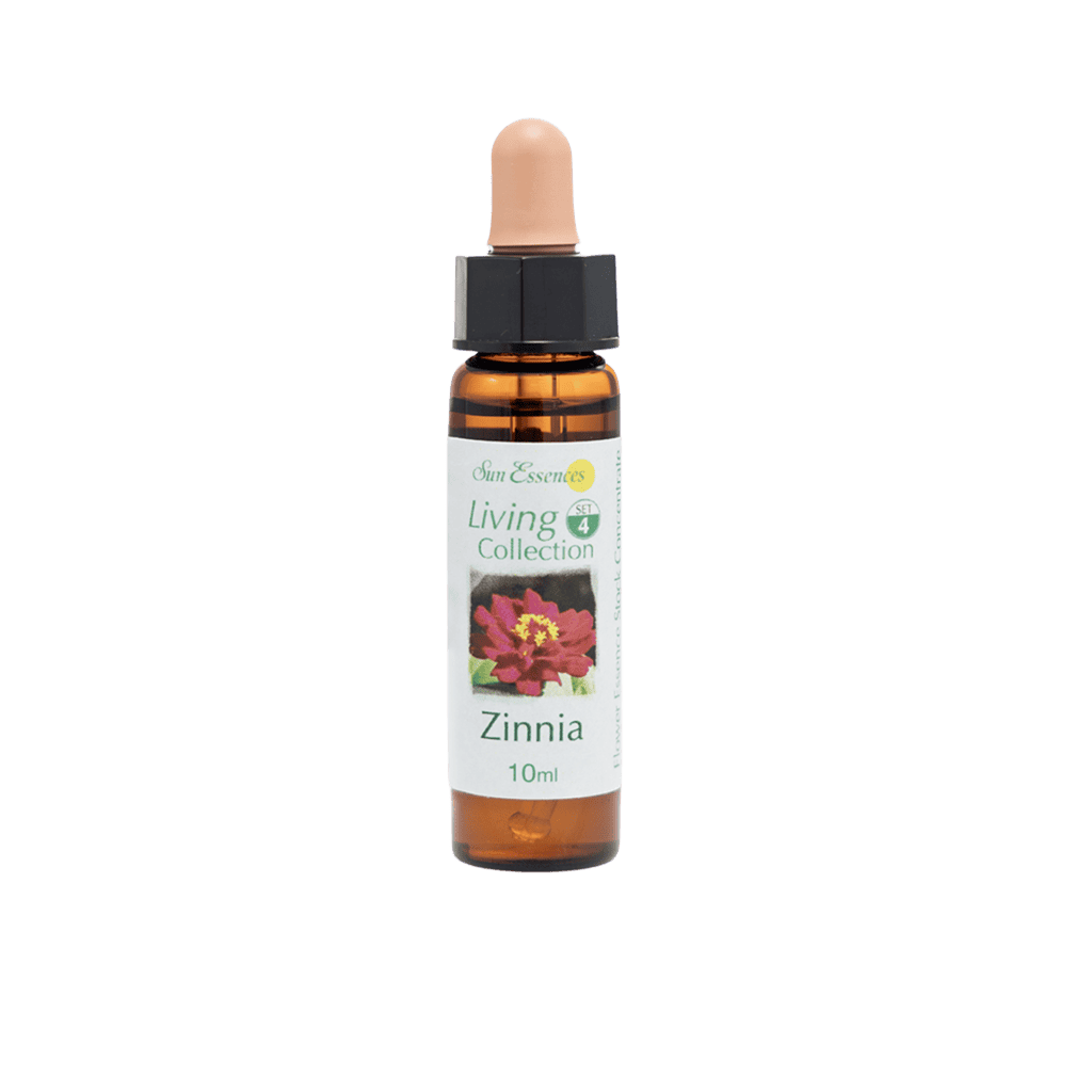 百日菊花精 10ml 產品照