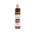 百日菊花精 10ml 產品照