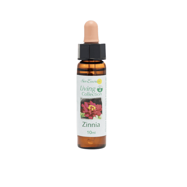 百日菊花精 10ml 產品照