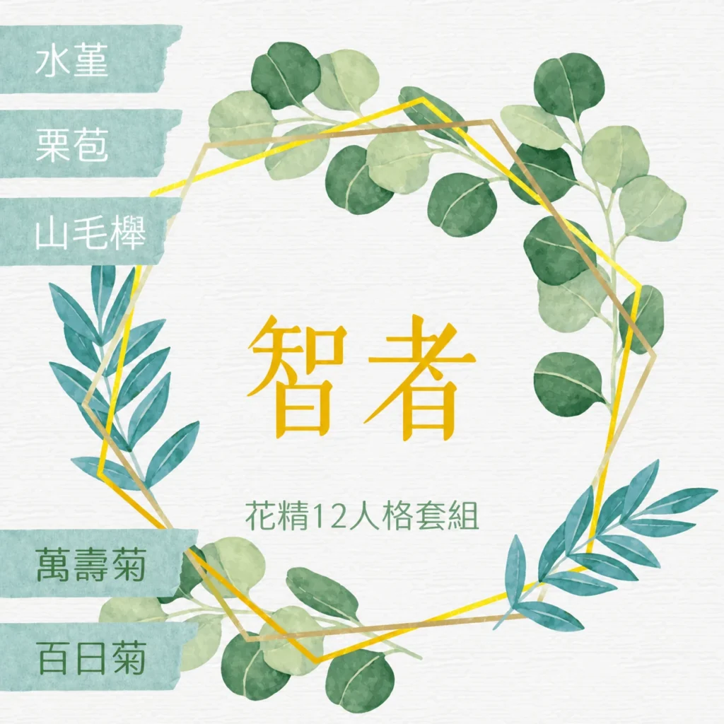 花精12人格套組智者，含水菫、栗苞、山毛櫸、萬壽菊與百日菊